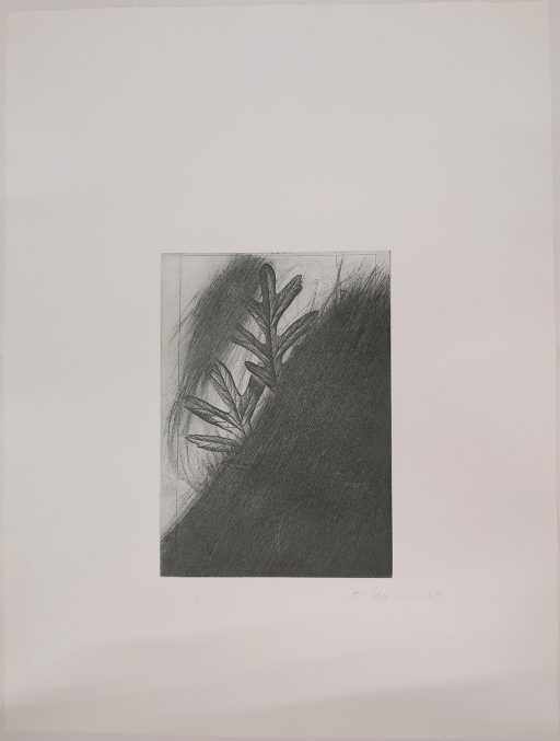 Arnulf Rainer Radierung "Eichenblatt für Joseph Beuys"