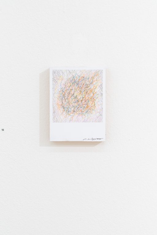 petit polaroid object