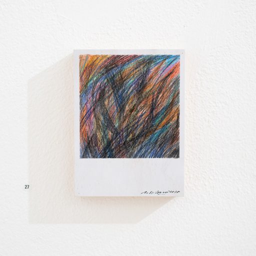 petit polaroid object