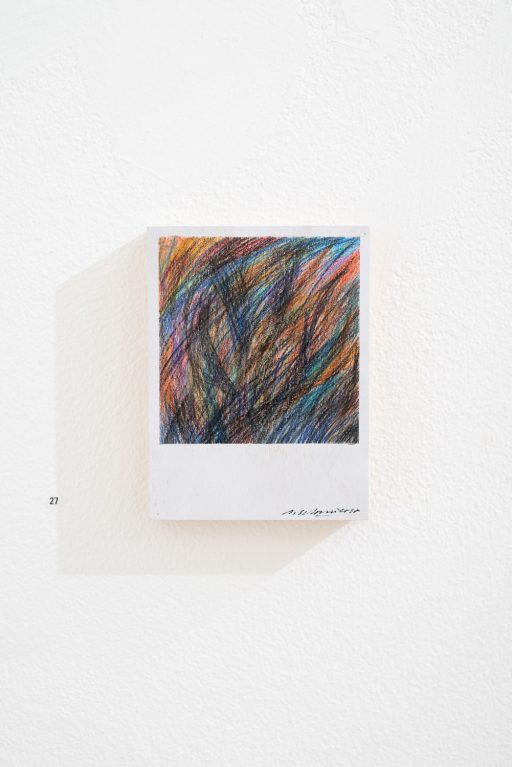 petit polaroid object