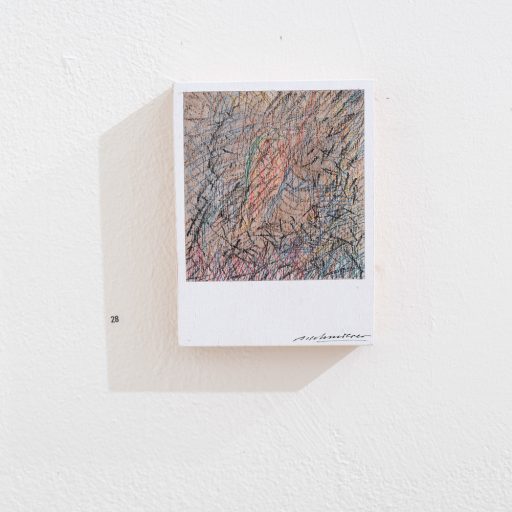 petit polaroid object