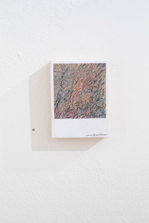 petit polaroid object