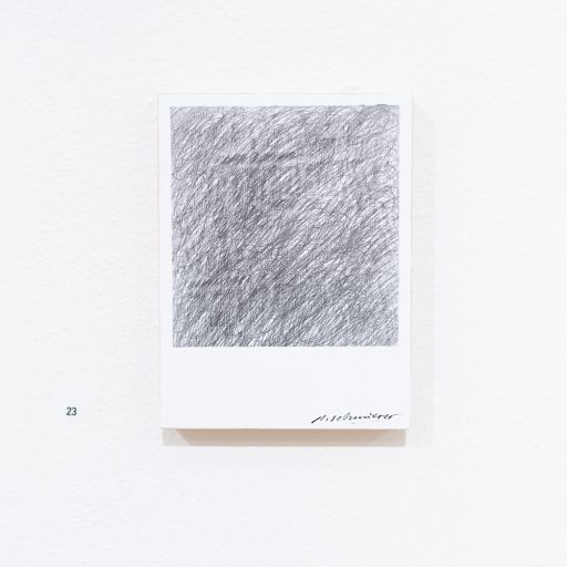 petit polaroid object