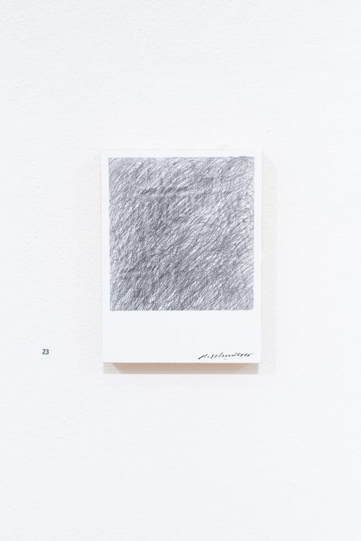 petit polaroid object