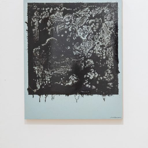 Polaroid Painting