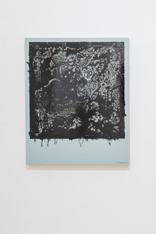 Polaroid Painting