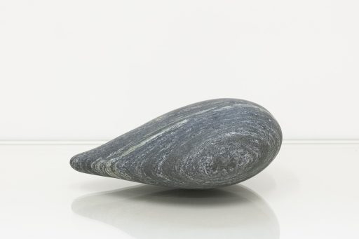 Apfelkern 2